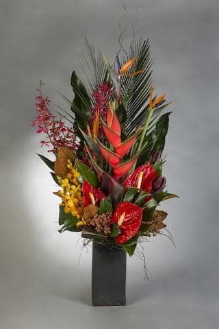 Real Florist. Real Flowers. Melbourne Online Delivery. Same Day | Stunning Tropical Arrangement