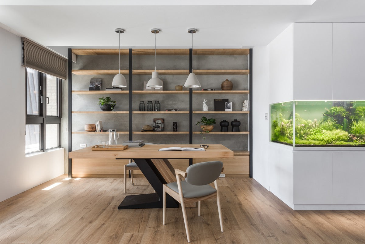 Low Maintenance Indoor Plants for Your Home Office