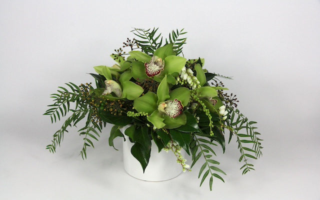 Real Florist. Real Flowers. Melbourne Online Delivery. Same Day | Cymbidium Cuteness