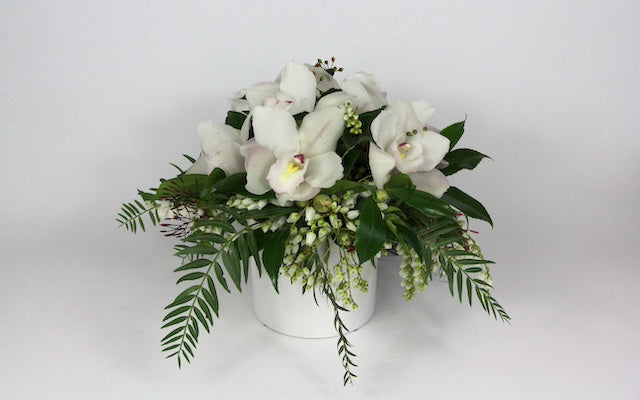 Real Florist. Real Flowers. Melbourne Online Delivery. Same Day | Cymbidium Cuteness