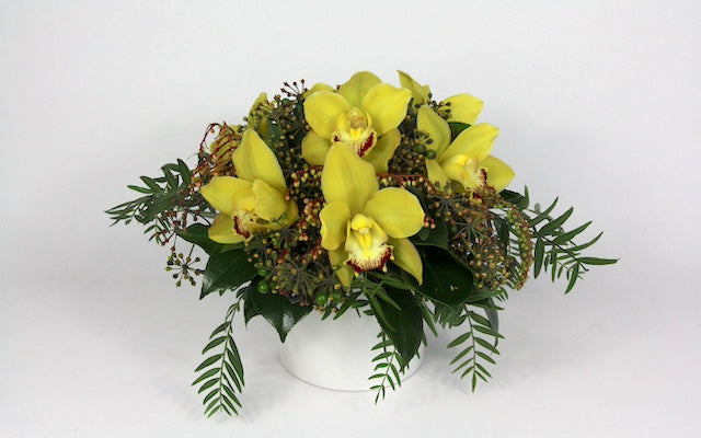 Real Florist. Real Flowers. Melbourne Online Delivery. Same Day | Cymbidium Cuteness