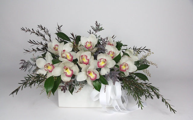 Real Florist. Real Flowers. Melbourne Online Delivery. Same Day | Cymbidium Orchid Sensation