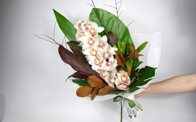 Real Florist. Real Flowers. Melbourne Online Delivery. Same Day | Cymbidium Wrap
