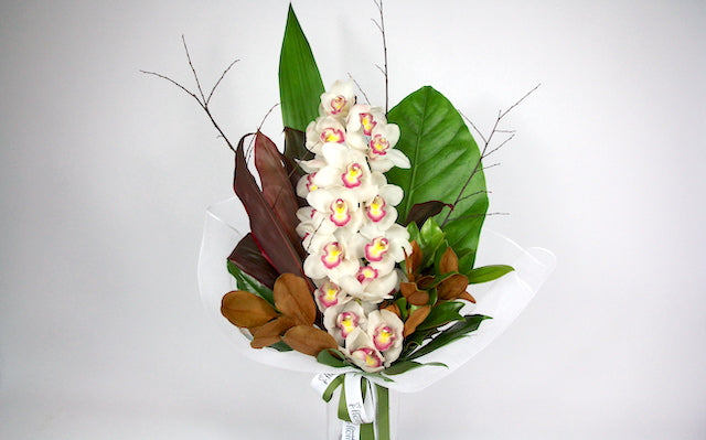 Real Florist. Real Flowers. Melbourne Online Delivery. Same Day | Cymbidium Wrap