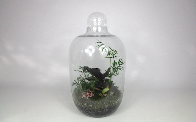 Ecology - L