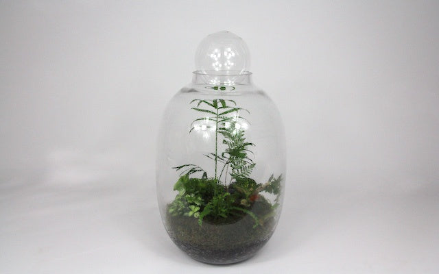 Ecology - M