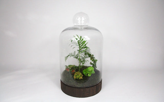 Habitat - L