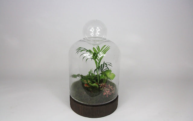 Habitat - M