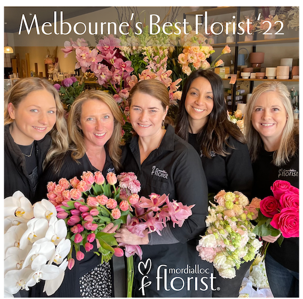 Reviews What our Customers Say Mordialloc Florist