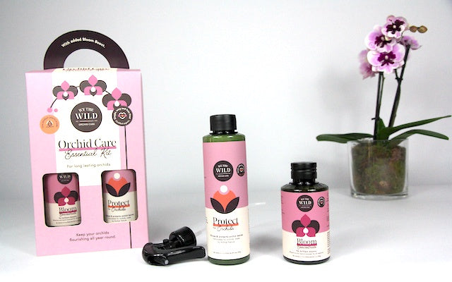 Orchid Care Duo