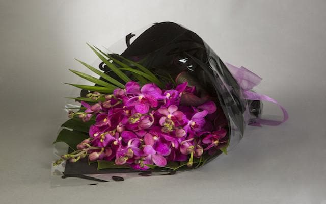 Real Florist. Real Flowers. Melbourne Online Delivery. Same Day | Striking Pop of Colour