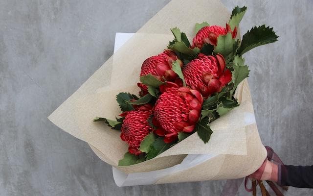 Real Florist. Real Flowers. Melbourne Online Delivery. Same Day | Wow Wee Waratahs