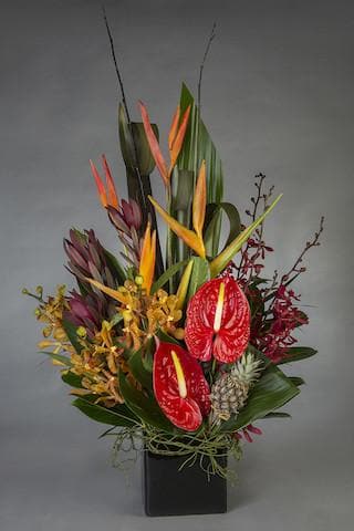 Real Florist. Real Flowers. Melbourne Online Delivery. Same Day | Sir Tropic