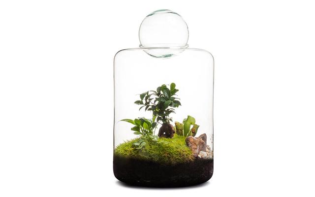 Real Florist. Real Flowers. Melbourne Online Delivery. Same Day | Garden of Eden Terrarium