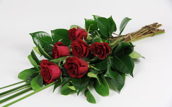 Six Roses | Melbourne Flower Delivery | Mordialloc Florist