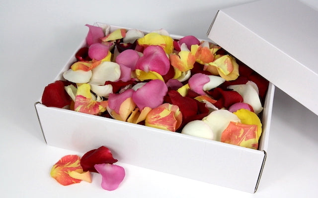 Real Florist. Real Flowers. Melbourne Online Delivery. Same Day | Rose Petal Romance