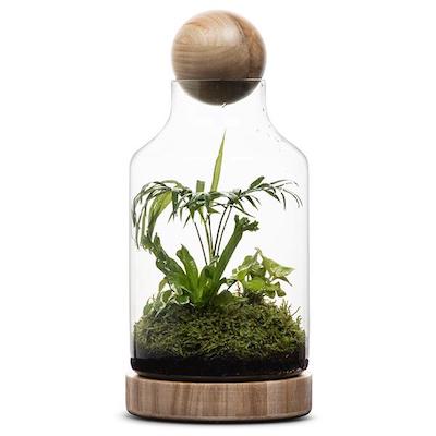 Real Florist. Real Flowers. Melbourne Online Delivery. Same Day | San Jose - Large