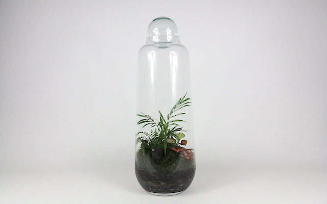 Real Florist. Real Flowers. Melbourne Online Delivery. Same Day | Tall Capsule