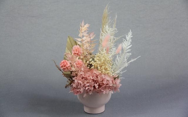Mini Miso - Pink